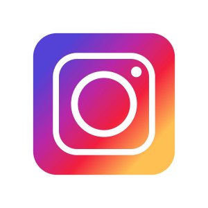 instagram lemminge stop icon